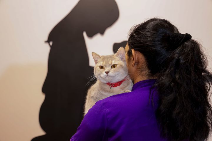 The Quiet Cost of Care: Finding Work-Life Balance in a 24/7 Pet Business