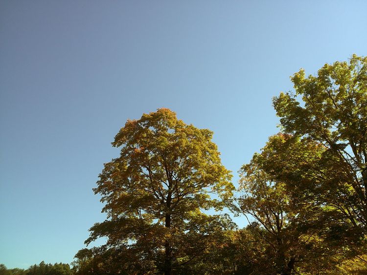 Fall Syllabus Notes #3