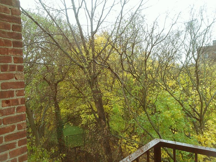 Downtime Diaries: November 2025