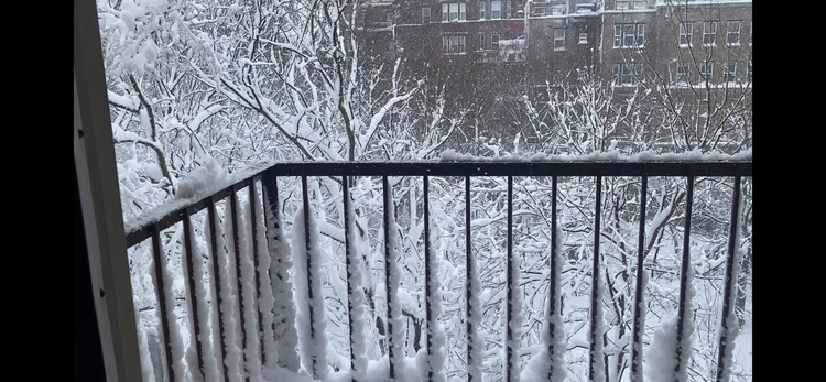 Downtime Diaries: February 2026