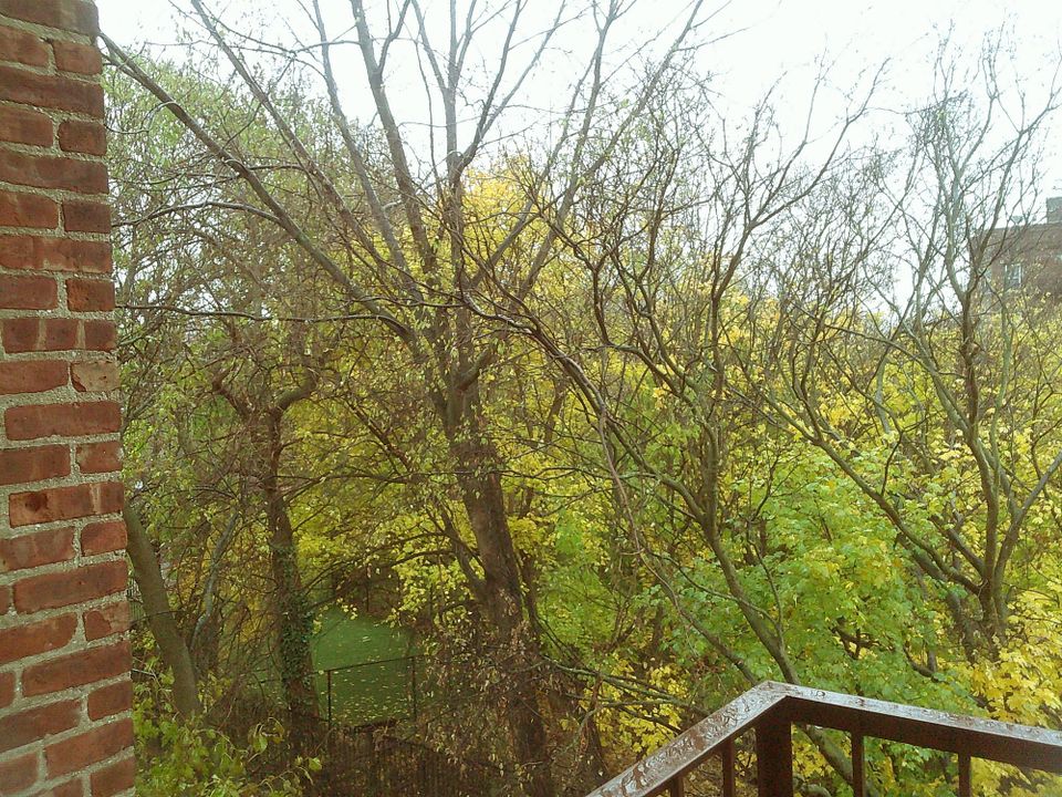 Downtime Diaries: November 2025