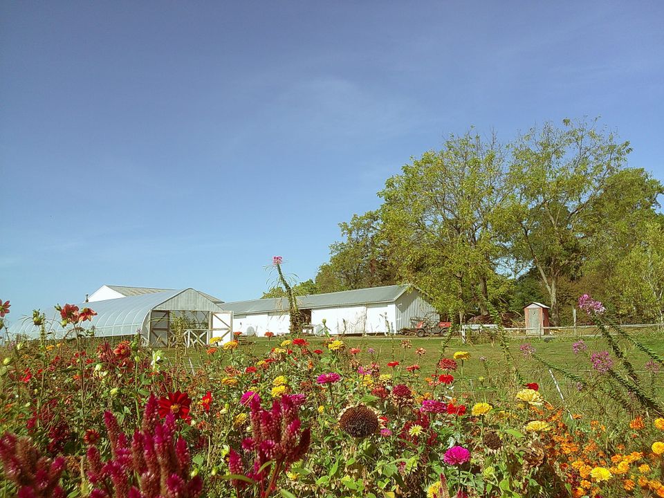 Decentering My Phone For A Week