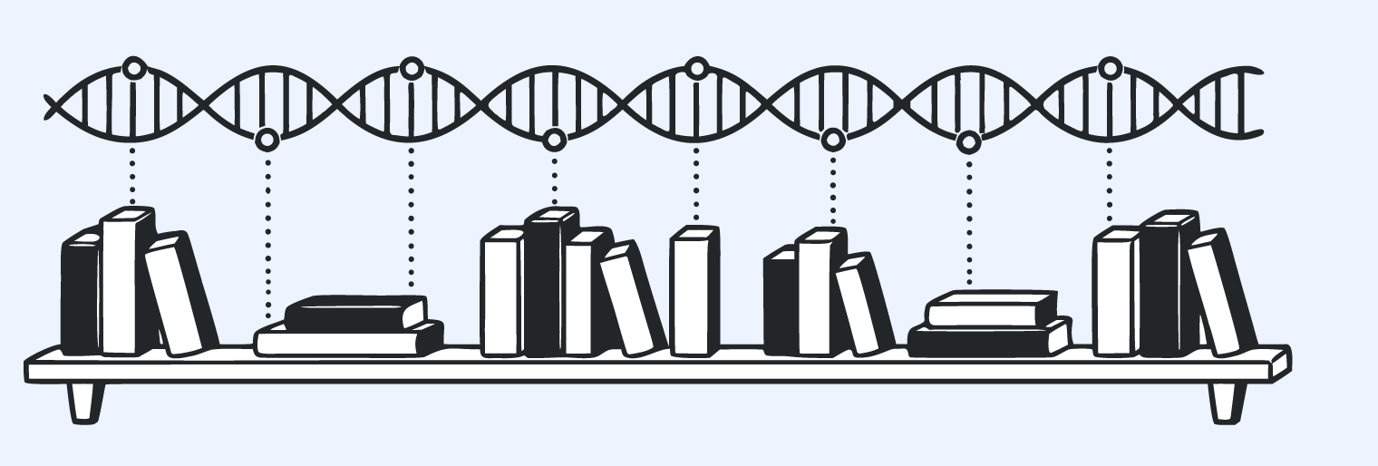 Personalized book recommendations 📚🧬