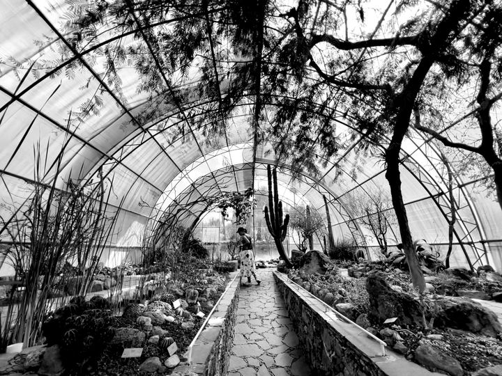 Take Your Time: How Slow Steps Lead to Charco del Ingenio's Oasis