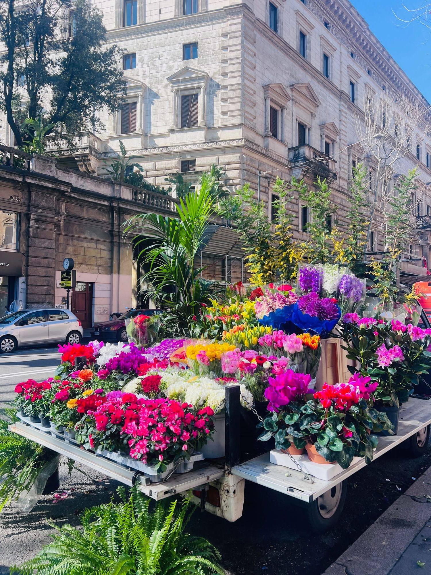Beautiful spring flowers in Rome, Italy.