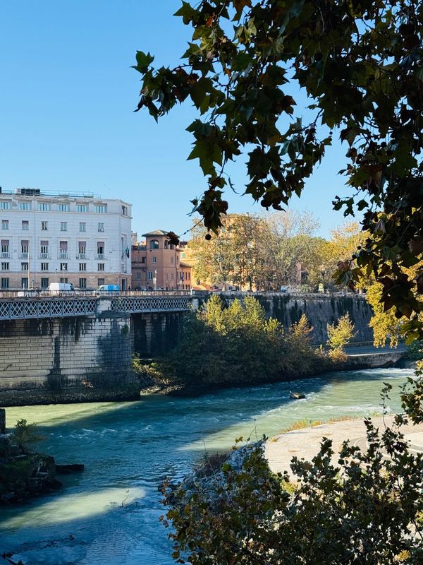 Leaves changing colors along the Tiber River in Rome
