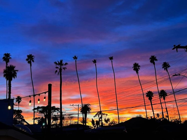 What does a historical and comparative approach tell us about democratic resilience to fascist threats?