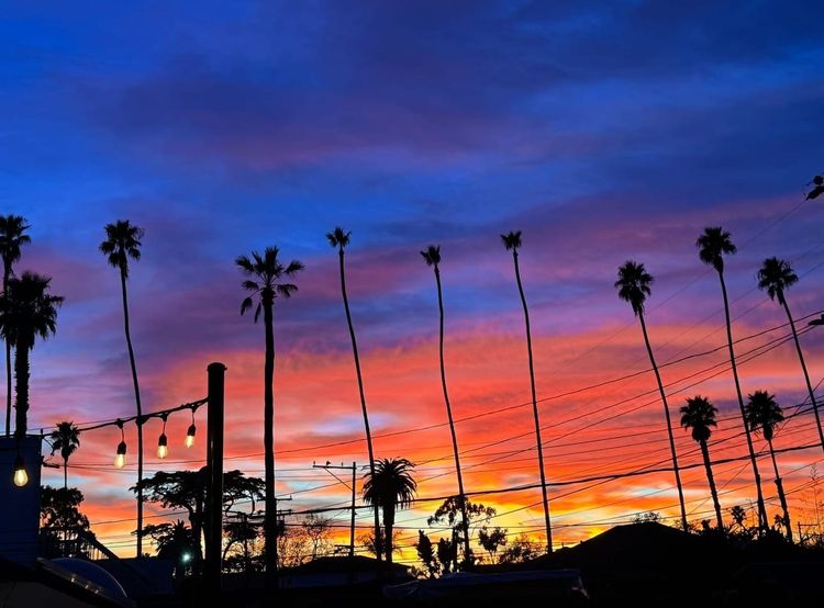 American democracy's chance of survival - Distinguishing factors, Part 1