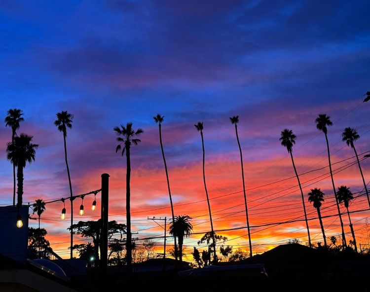 American democracy's chance of survival - Distinguishing factors, Part 2a