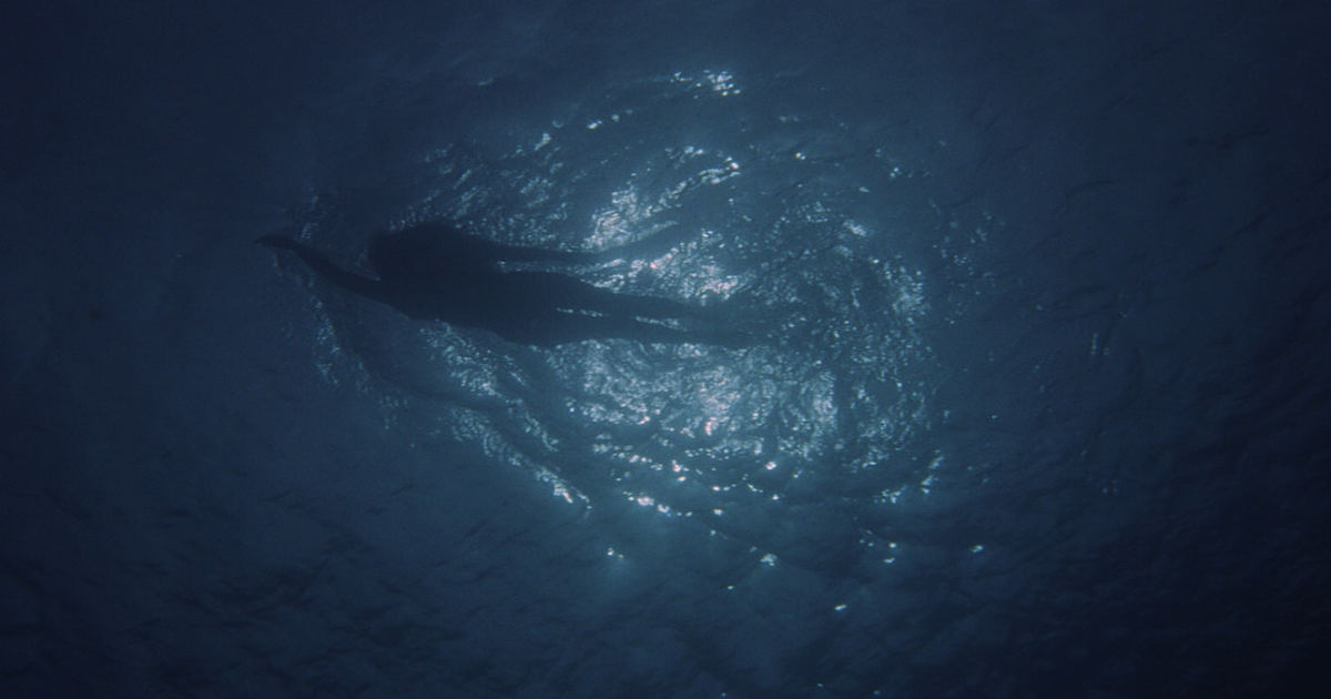 Geef mij maar Jaws, geen haai