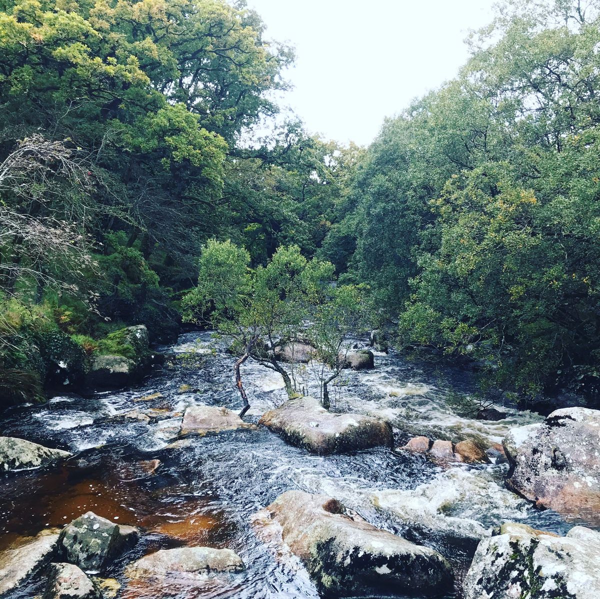 The Punishment Of Water