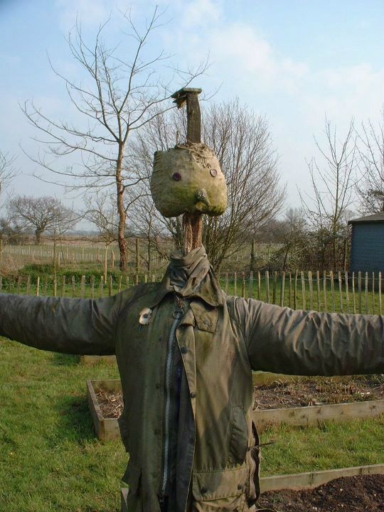 Clarification on the last post