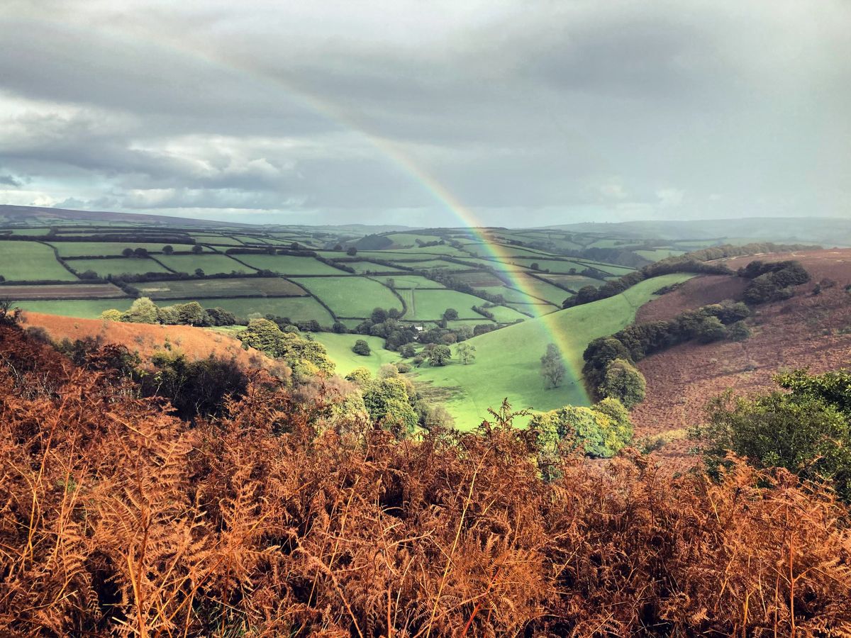Notes From Exmoor