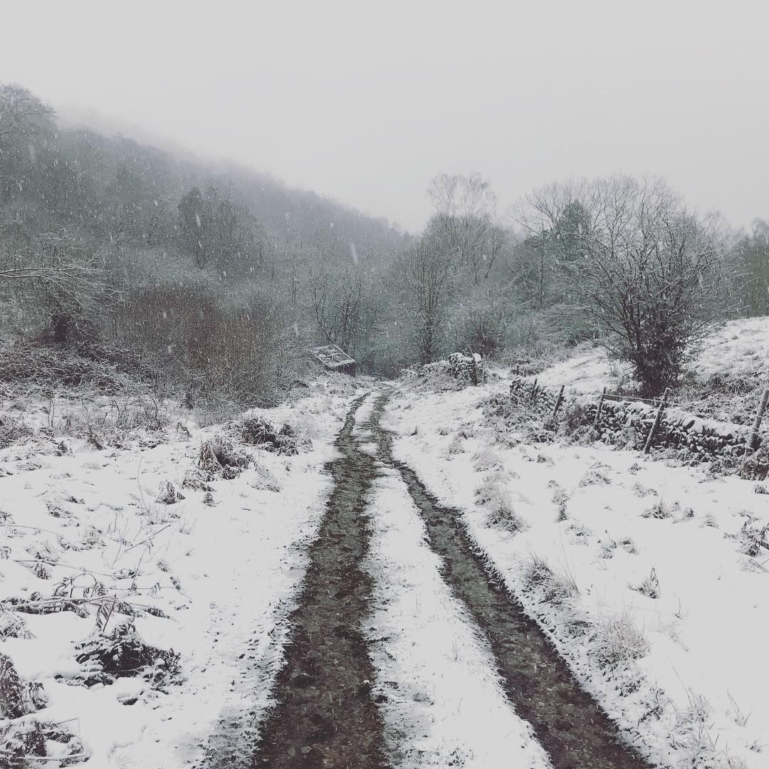 The Lost Valley