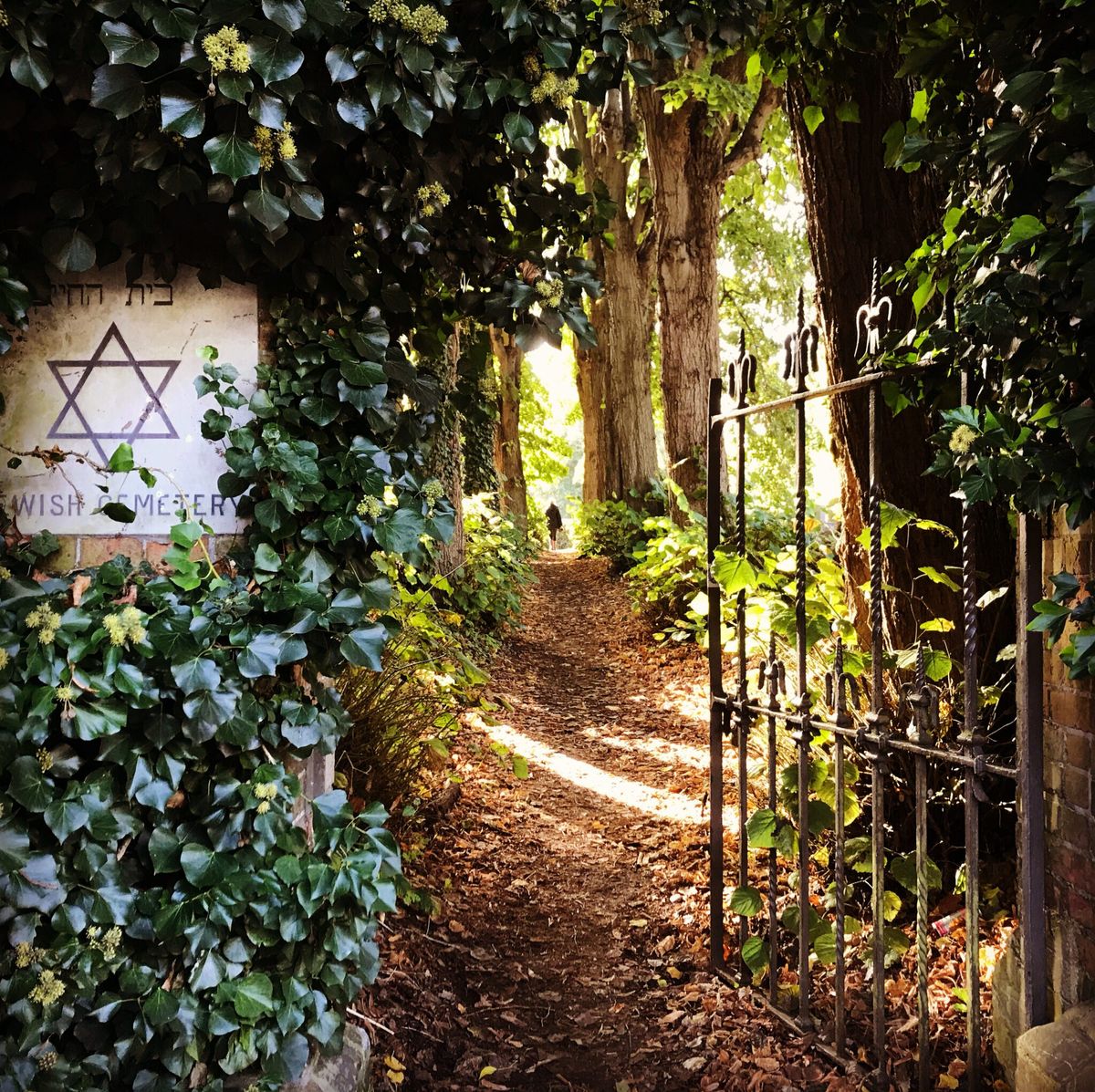 Early Autumn 2019: A Personal Compendium