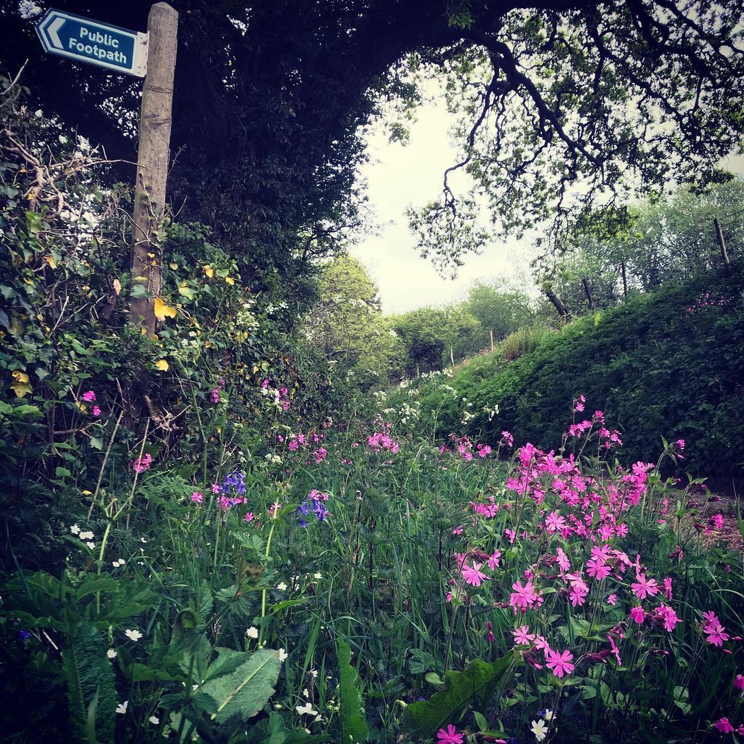 SOME RECOMMENDED WALKS