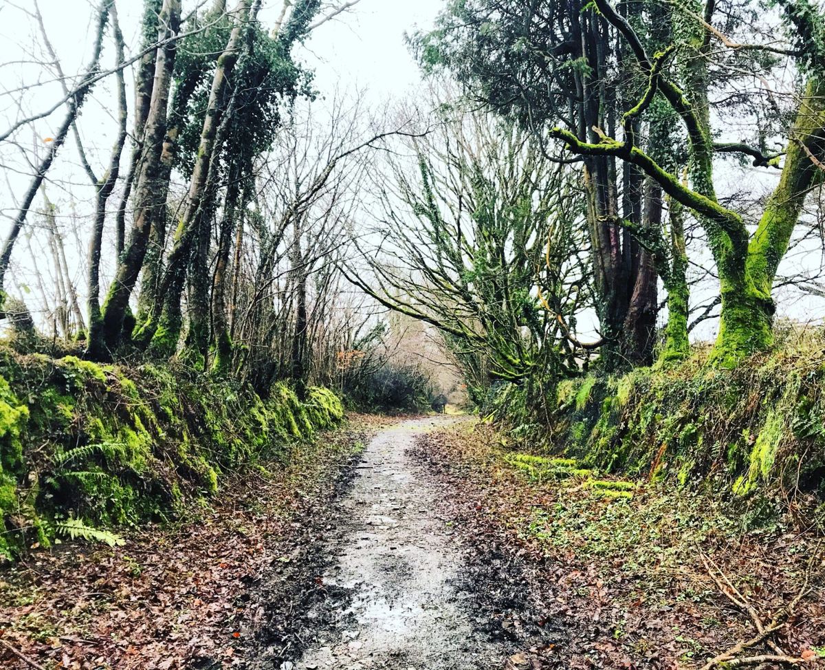 Ramblecast: Gibbet Hill