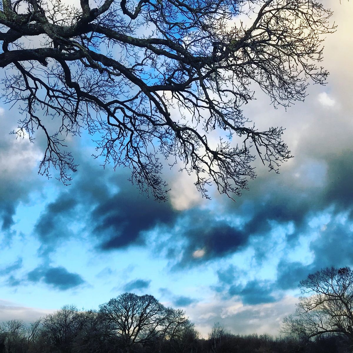 January: A Personal Compendium