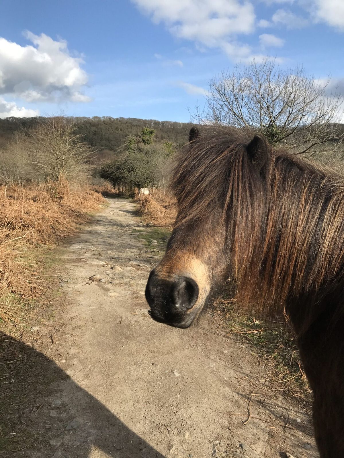 Ramblecast: Villager