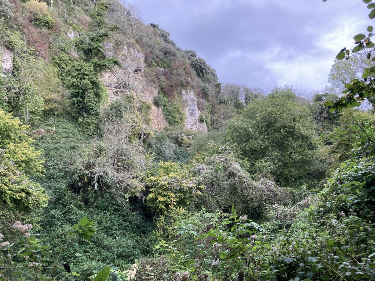 Undercliff