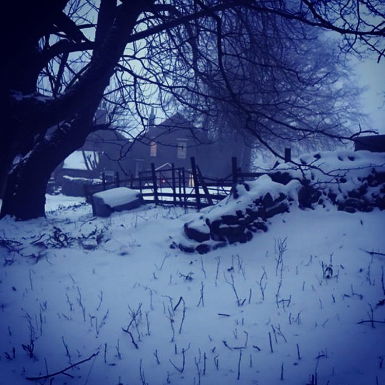 Houses