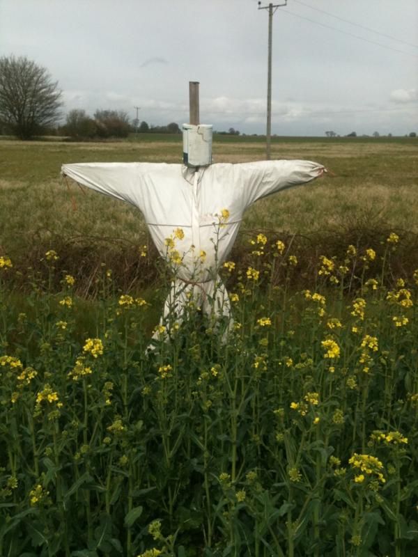 Photos Of Some Unreconstructed Rural Men I Have Known And A Few Recollections Of My Time With Them