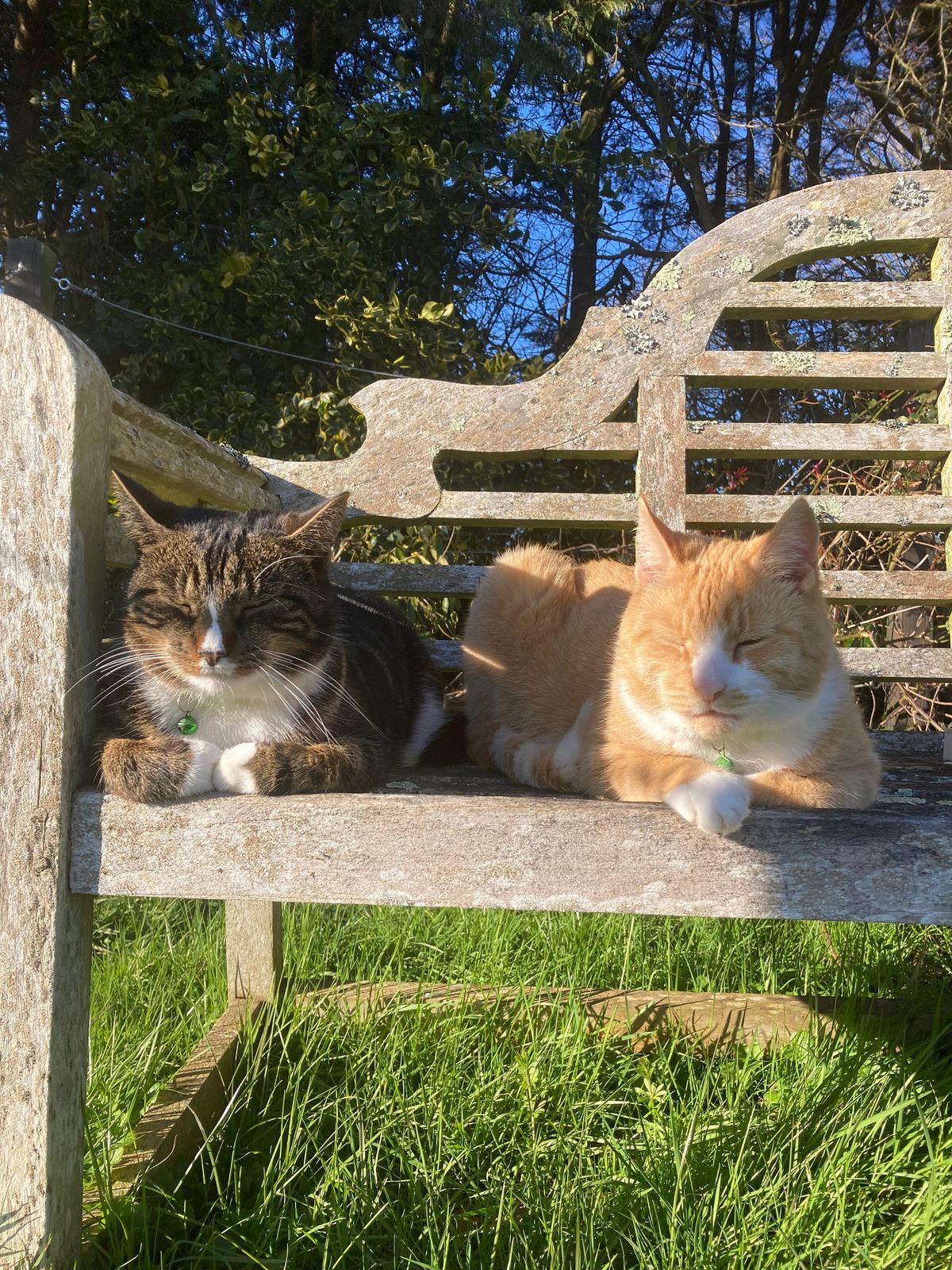 Jim: An Insight Into One Of Our Finest Minds