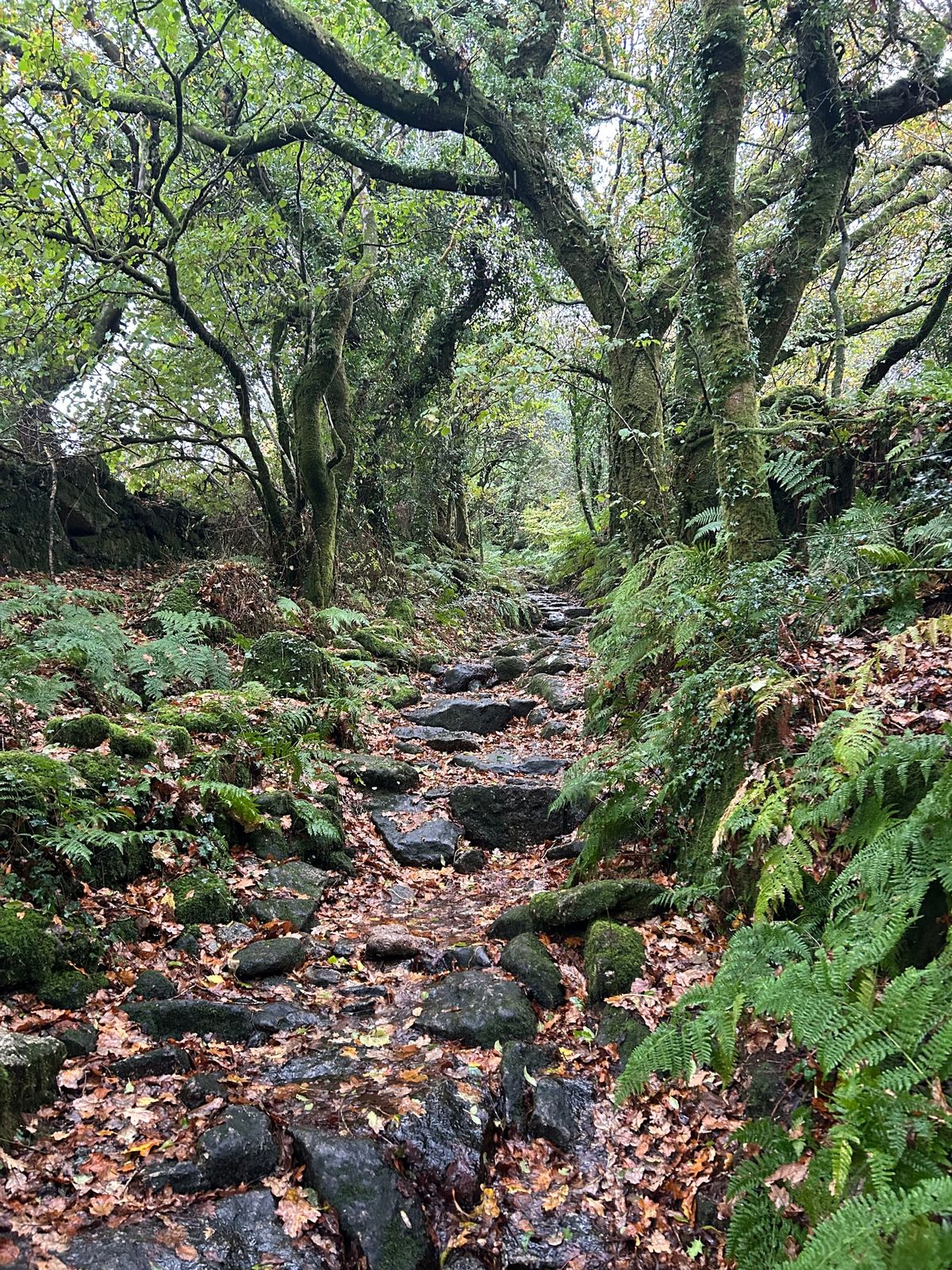 Recommended Walks