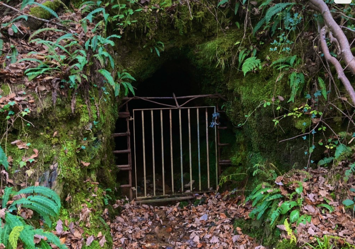 A Brief, Unsparingly Honest Guide To The Real British Countryside From Someone Who Knows