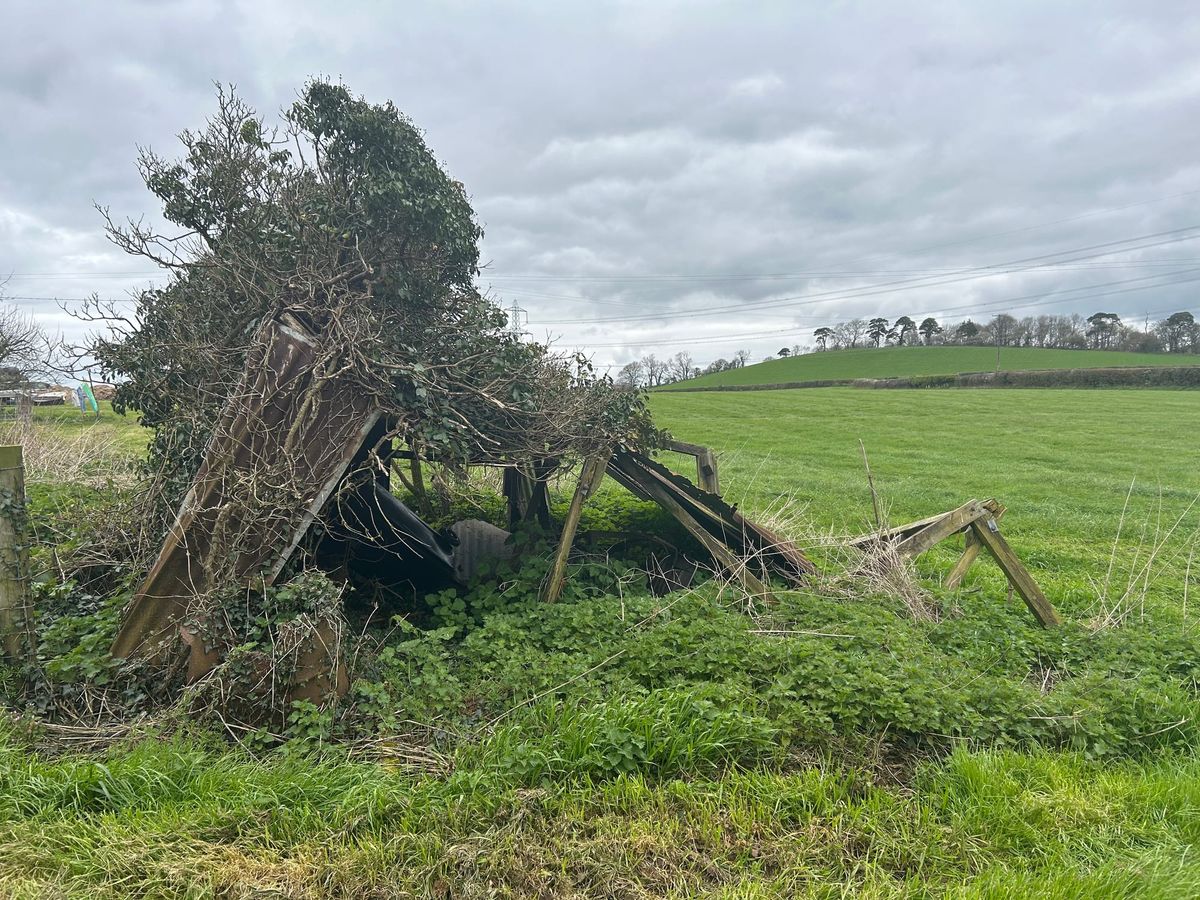 What I Am Able To Tell You About Houses