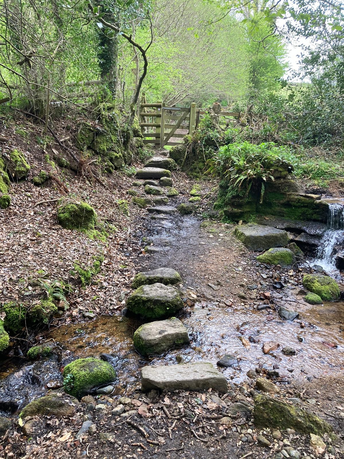 100 WALKS YOU NEED TO DO BEFORE YOU DIE. 1: Springtime Creekside Hike To Longdogs Lane Via A Private Dentist (4 miles)