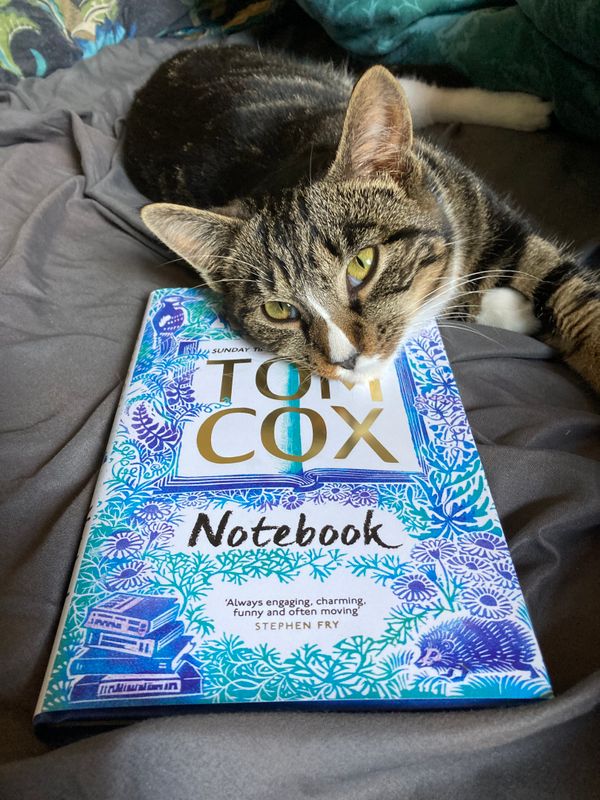 My Notebooks