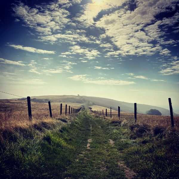 The Reason Your Shampoo Wants You to Use More Shampoo is Because That Means You Will Buy More of Your Shampoo