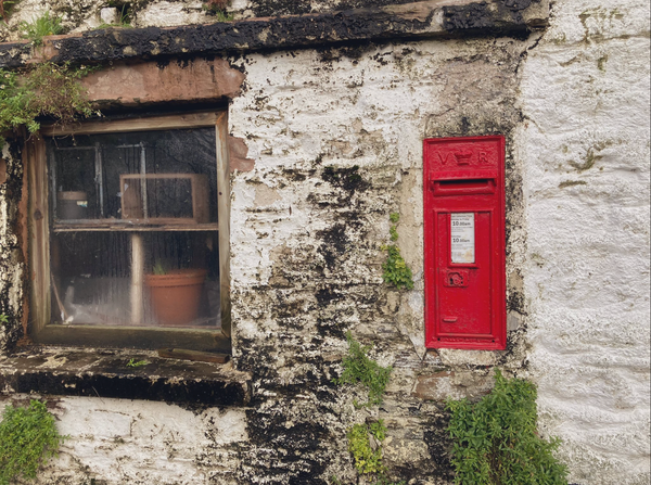 Native Tongue (A Short Story)