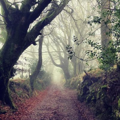 Episode 2: The Maverick Arthouse Filmmaker Of The Moor