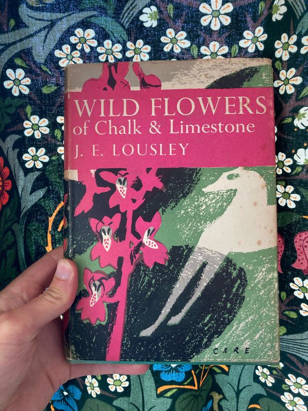 A Compendium Of Thoughts About Possessions