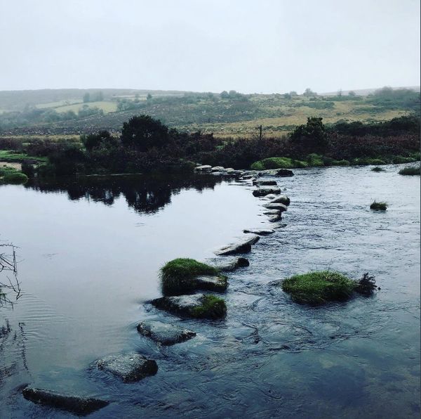 Stepping Stones