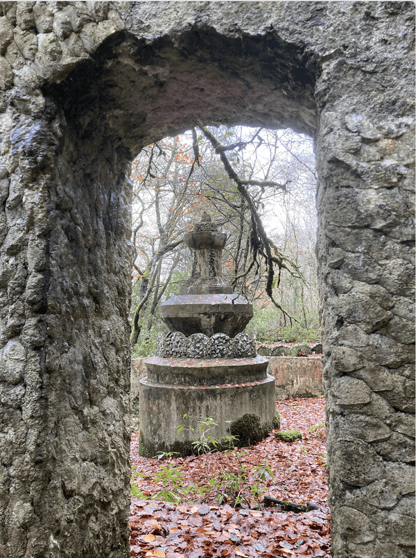 Diary Notes, November, 2022: The Pleasure Garden