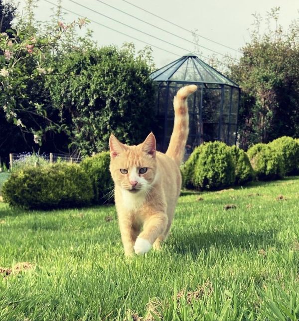 A Message To Subscribers From Me And Jim