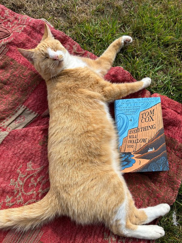 Some Thoughts About Jims, Scarecrows And Books