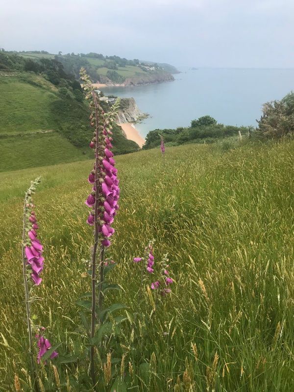 A Love Letter To A Beach