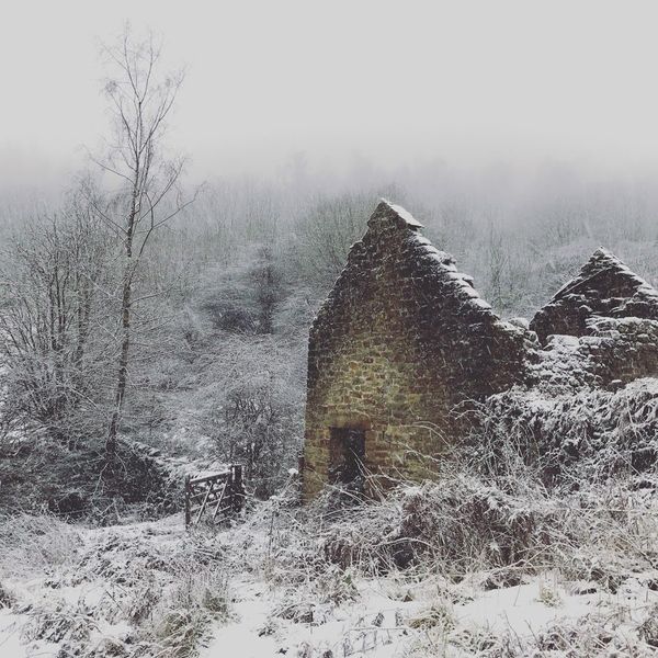 Living In A Plague Village In The Early 21st Century