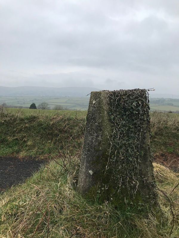 Diary Entries: Spring 2018