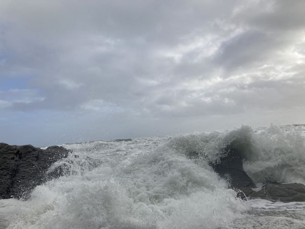 A Few Extracts From My Notebook