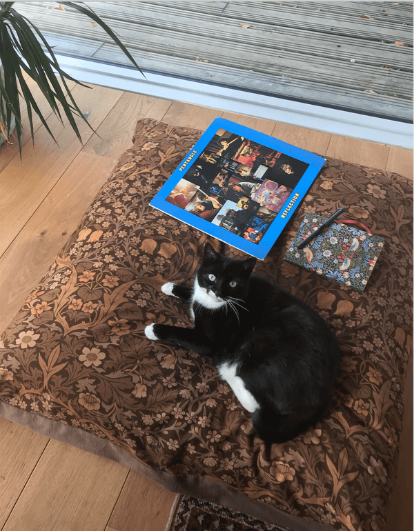 The 21st Century Is Old Enough To Legally Drink Alcohol: A Diary of Life, One Day in 2018, For My Future Self