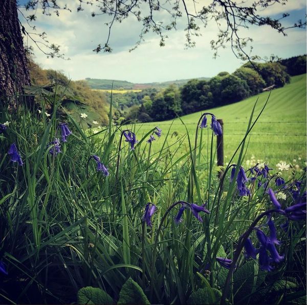 Spring 2019: A Personal Compendium