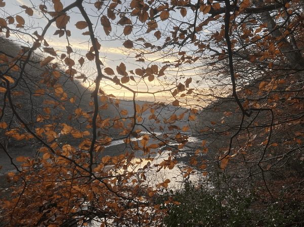 Darkening Days In Summerland: A Personal Compendium