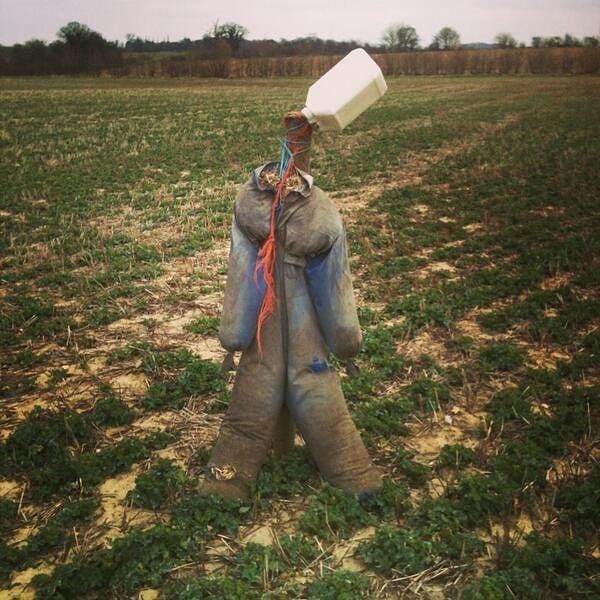 Photographs Of Scarecrows I've Met On Walks And Some Important Biographical Information About Them