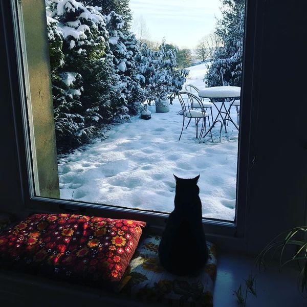 The Cat: A Folk Tale For Winter Solstice