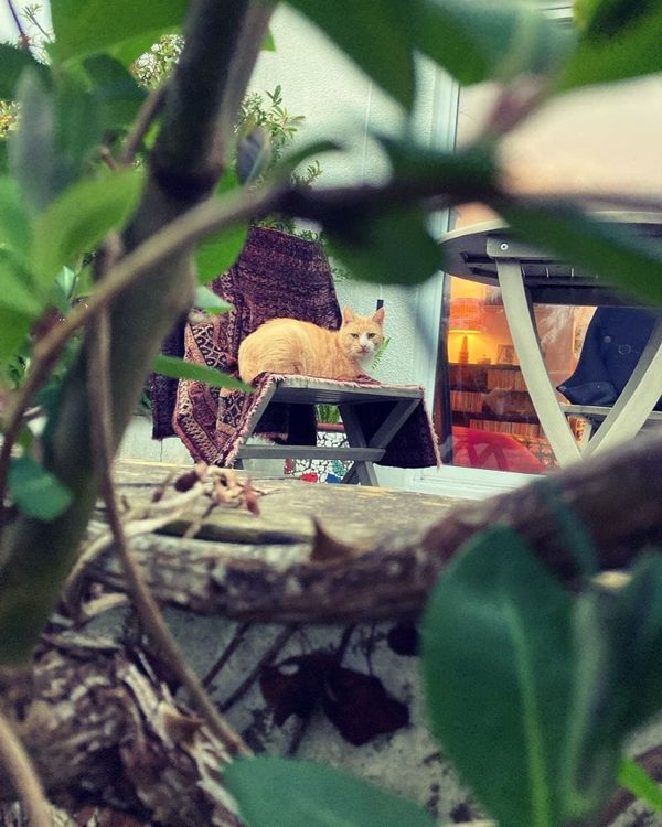 The 20 Best Interdimensional Portals I Have Photographed On Walks In The British Countryside